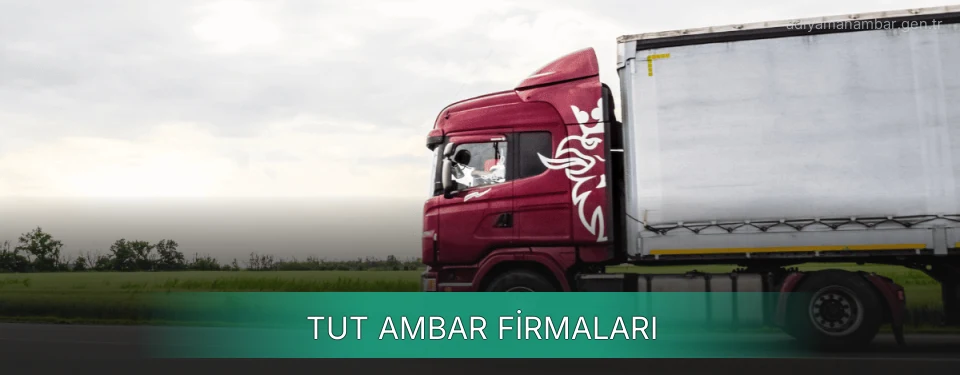 Tut Ambar Taşımacılık